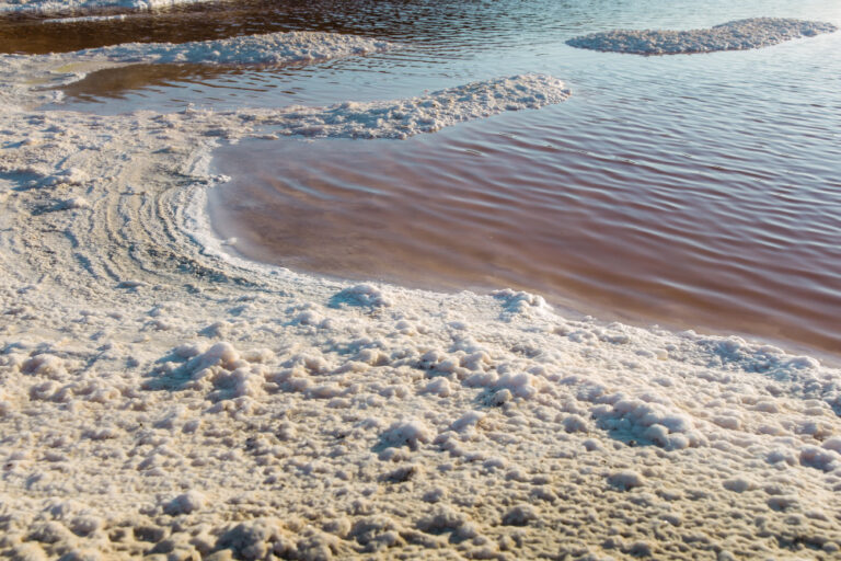 PFAS in zeeschuim: alles wat je moet weten over deze vervuiling aan onze kust
