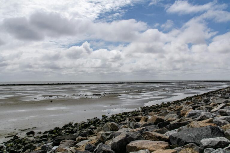 Kitesurfen op Ameland: Complete Spot Guide